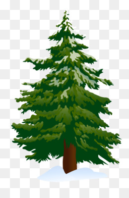 Gambar Animasi Pohon Pinus