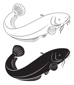  Download Gambar Animasi Ikan Lele  Gambar  Animasi  Keren