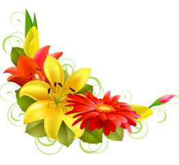 Floral Flower Background clipart - Flower, Design, Illustration
